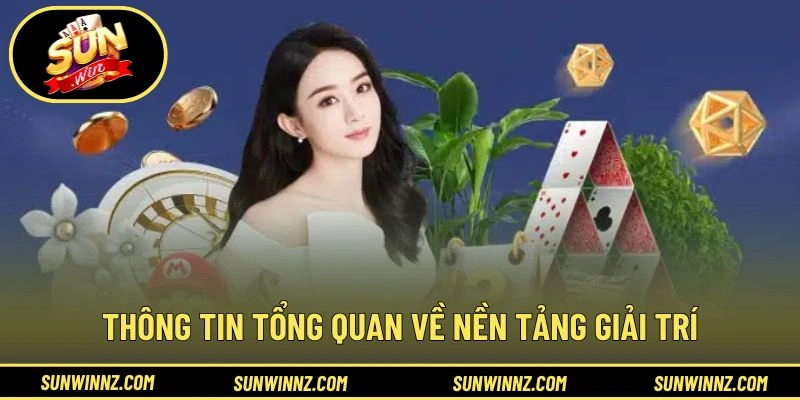 Thông tin tổng quan về nền tảng giải trí